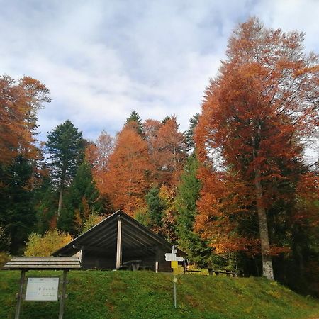 Hotel Am Kurpark Todtmoos Kültér fotó