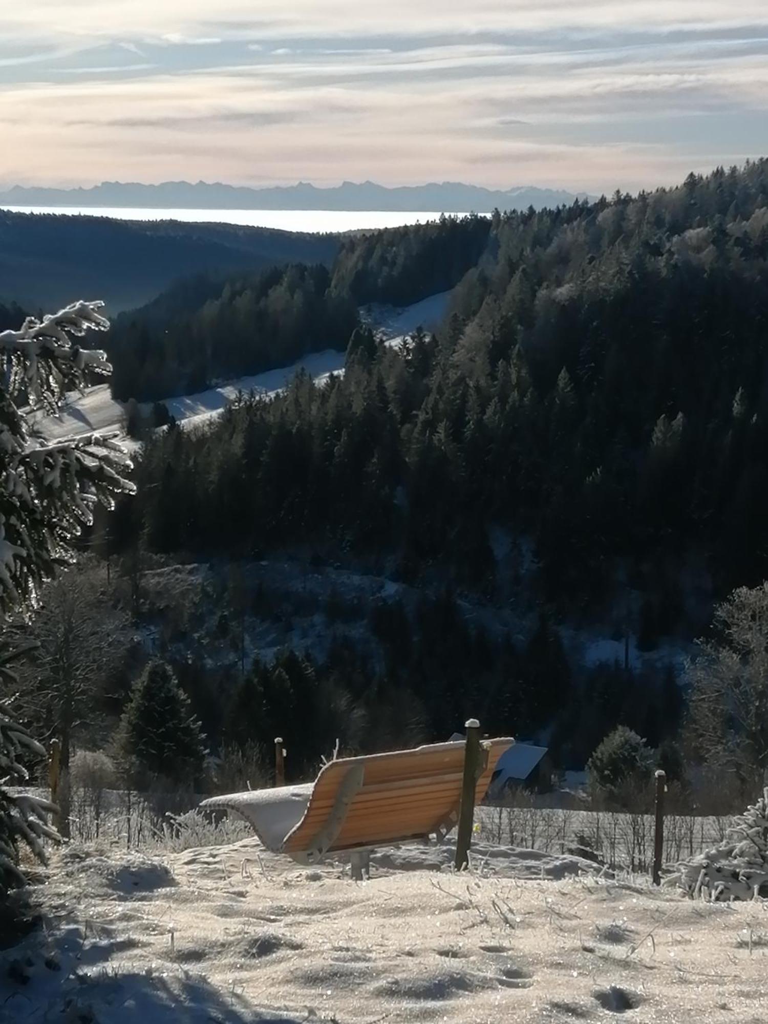 Hotel Am Kurpark Todtmoos Kültér fotó